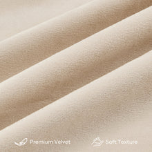 Load image into Gallery viewer, JELLYMONI Pack of 2 Decorative Throw Pillow Covers for Couch Bed Sofa, Velvet Throw Pillow Covers with Gold Leaves Feather